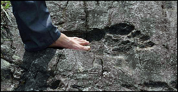 A Bigfoot footprint?